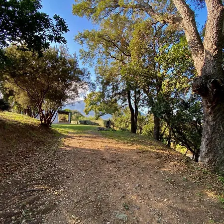 Domaine Punta Della Guardia Vue Dans Nature Protégée, à 1,5 Km
