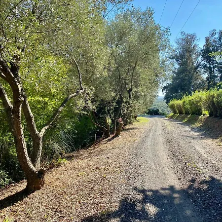 Domaine Punta Della Guardia Vue Dans Nature Protégée, à 1,5 Km *