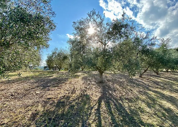 Domaine Punta Della Guardia Vue Dans Nature Protegee, A 1,5 Km